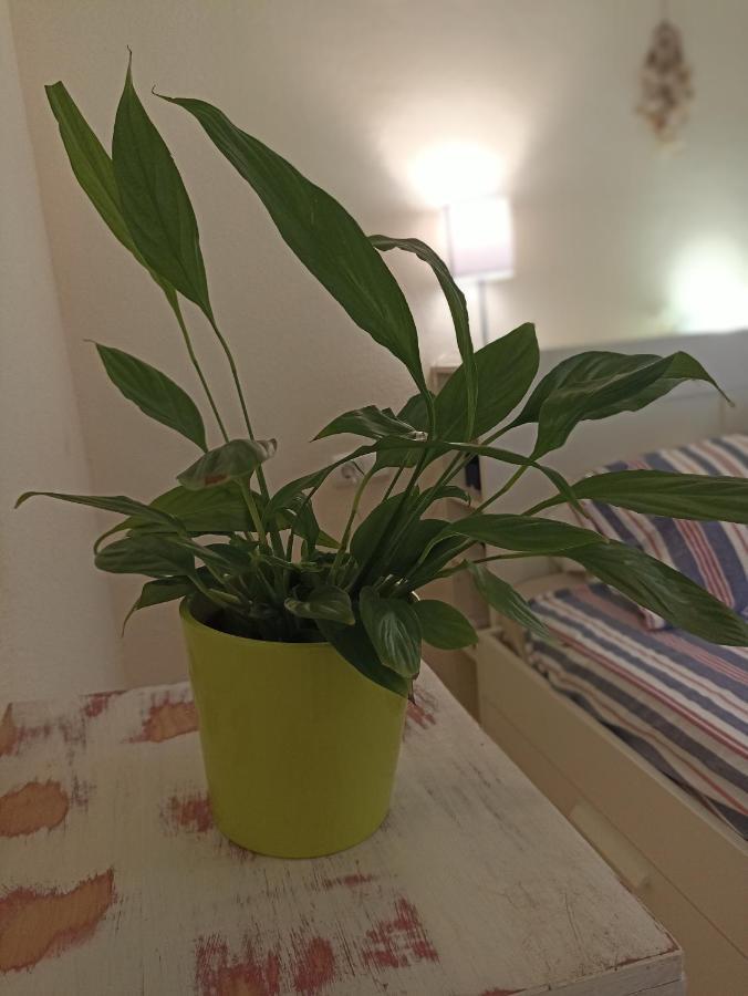 Ferienwohnung Confortable Habitacion Centrica En Piso Privado Málaga Exterior foto